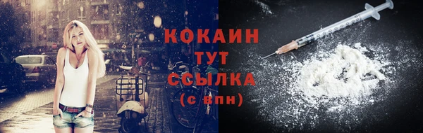 мяу мяу мука Рославль