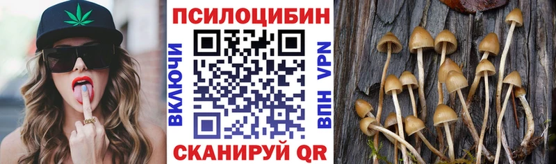 Галлюциногенные грибы мухоморы  Энем 
